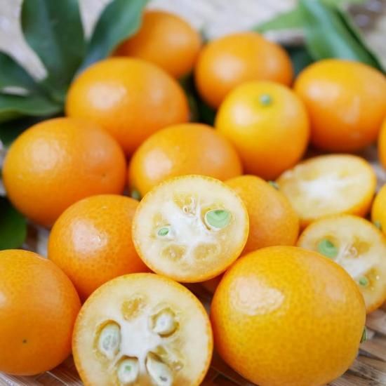 完熟金柑のお茶セット | 清木場果樹園 - 【かごしまぐるり】鹿児島の