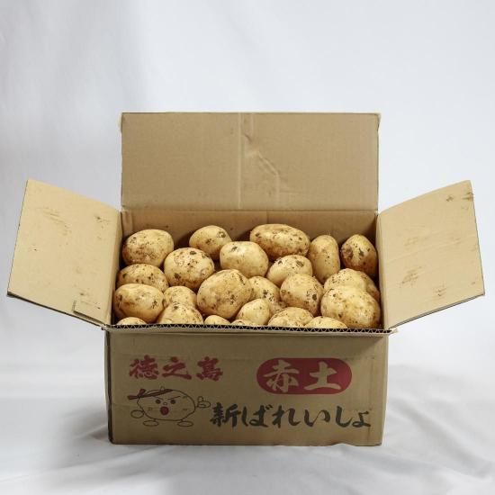 新じゃが収穫開始】徳之島産にしゆたか 5kg【ホクホクじゃがいも 新じゃが収穫開始】徳之島産にしゆたか 5kg【ホクホクじゃがいも