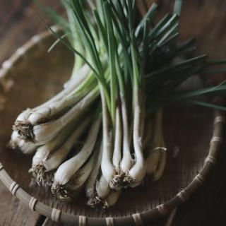 鹿児島県産　土付きらっきょう　約10キロ　y 鹿児島県産 土付きらっきょう 約10キロ o 砂丘地らっきょう5kg(土付き