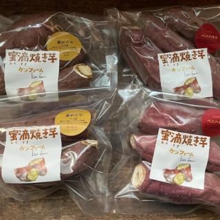【手土産やご自宅用にオススメ】焼き芋 ベニハルカと栗かぐや 小分けパック【ケンファーム】