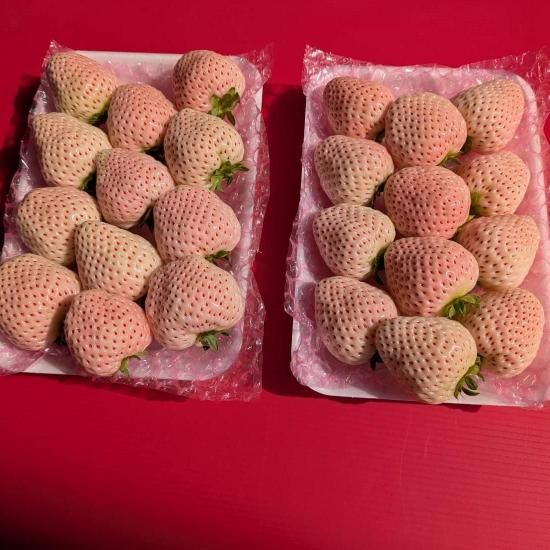 白いちご | 予約販売 - 【かごしまぐるり】鹿児島の名物・特産品