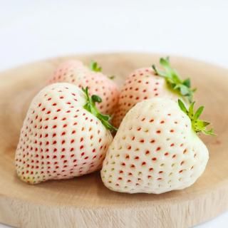 白いちご（約300g×2パック）【予約販売】