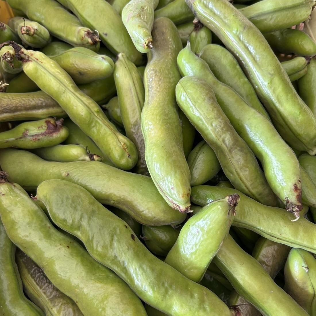 ホクホク規格外そら豆 | 内薗ファーム - 【かごしまぐるり】鹿児島の