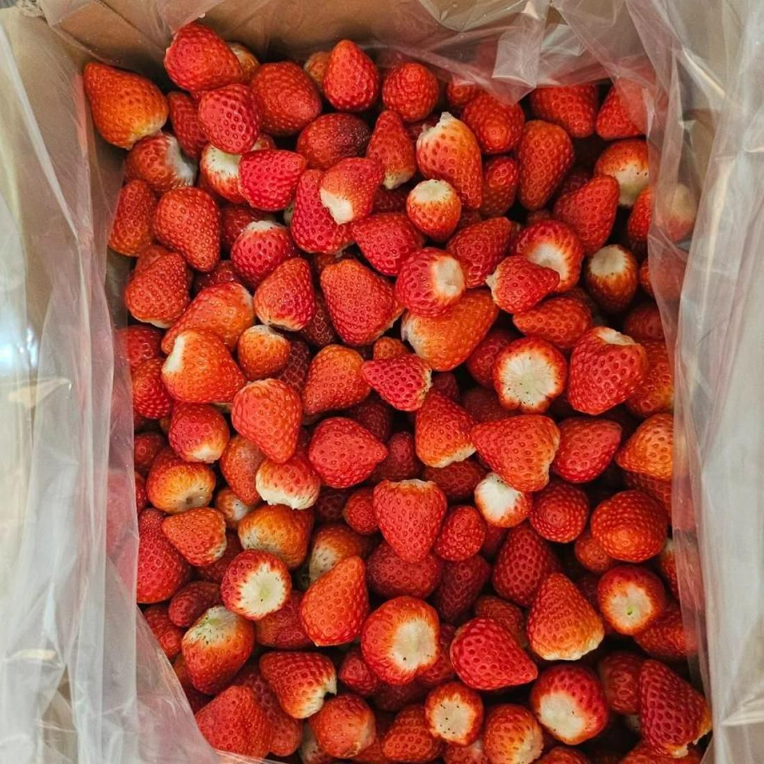 冷凍いちご「さがほのか」4kg