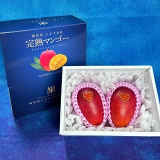 【濃厚トロピカル】指宿産 完熟マンゴー 贈答用【室屋植物園】