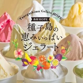 【安納芋にサトウキビ】種子島の恵みいっぱいジェラート（ギフトセット）6・12個