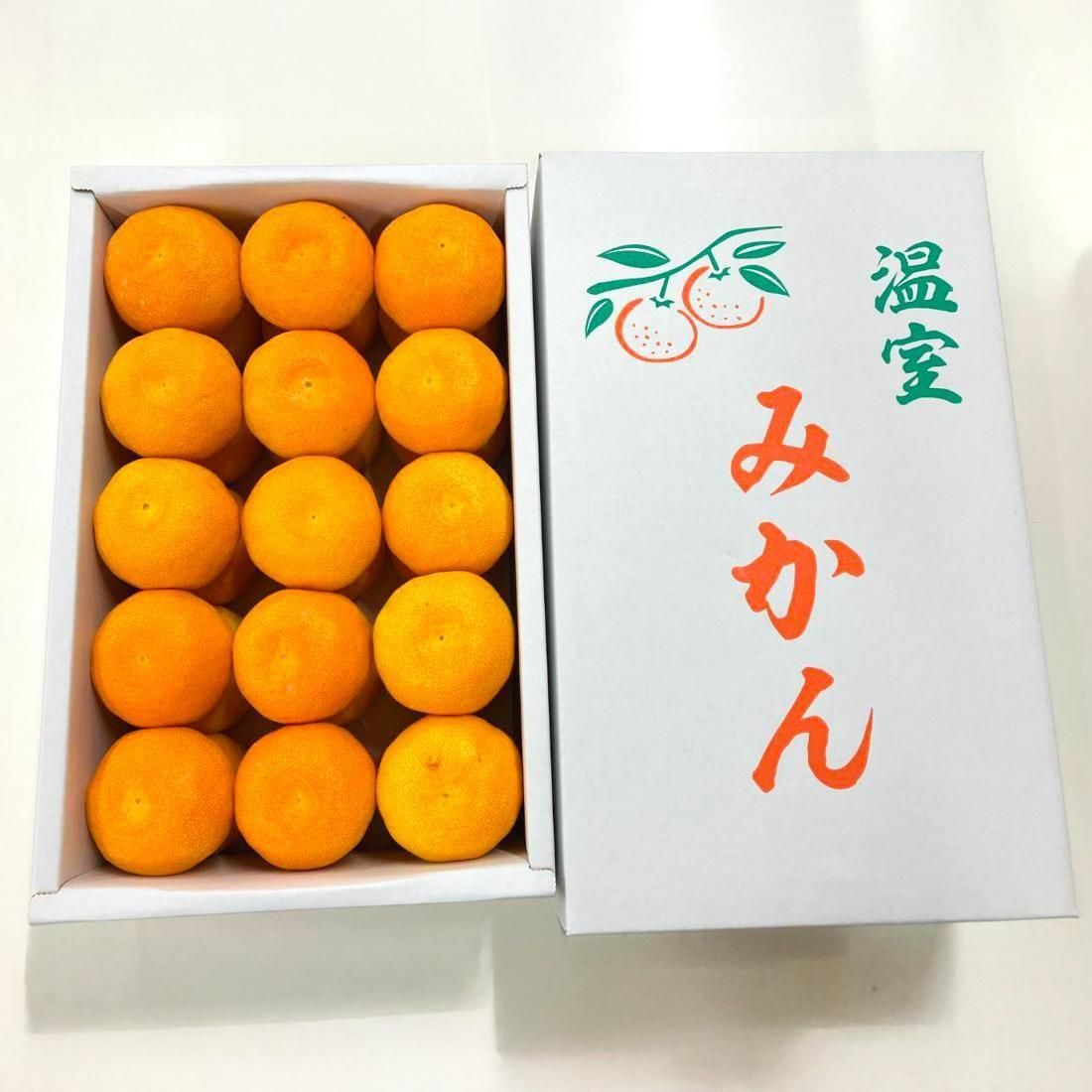 みかん いちき串木野産「温州みかん」 | 濃厚甘い3kg - 【かごしま