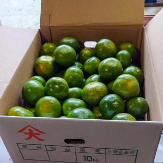 【2025年産】いちき串木野市 大里産みかん「かごしま早生」（約5kg/10kg/15kg）