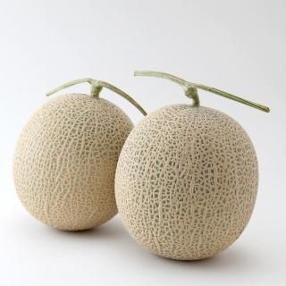 【贈答用】鹿児島県産アールスメロン 2玉入