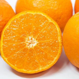 【5箱限定】竹ん子山「ポンカン」約5kg（約40～60個）