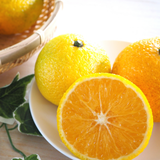 【5箱限定】「スイートスプリング」約4.5kg（約10～20玉）