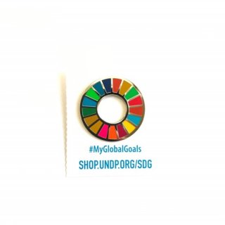 SDGs Pins