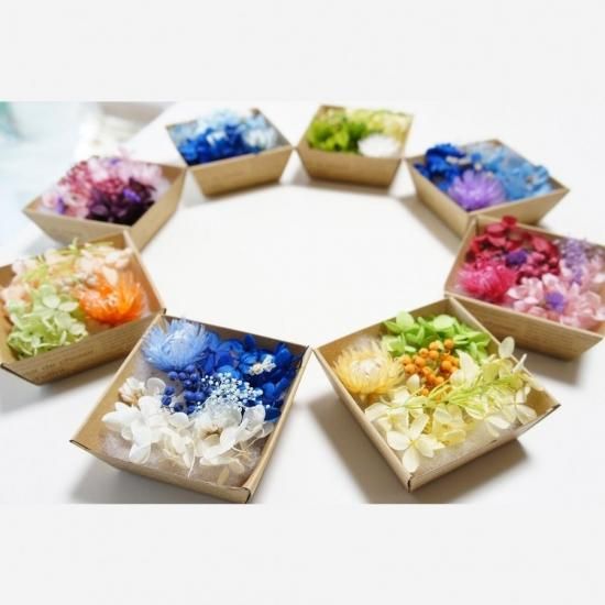 ハーバリウム ハーバリウム 花材のみ [シルバーデージー] | ハーバリウム通販