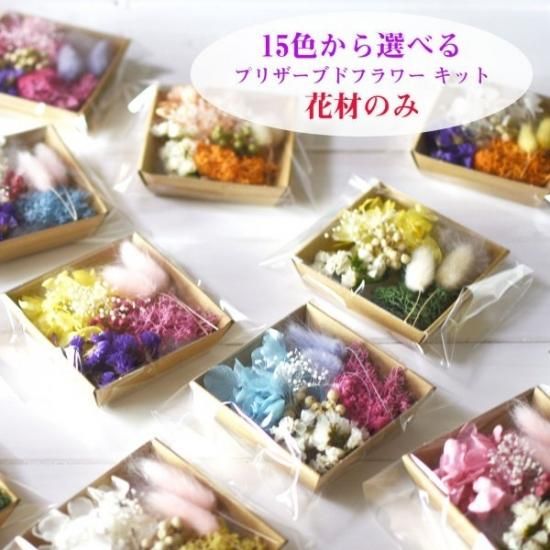 ハーバリウム ラグラス スターチス キット(花材のみ) | ハー