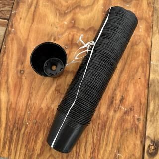 ݥݥå 2 100 ľ10mm