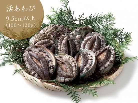 活あわび/満天☆青空レストランで紹介された美嶋丸(みしままる 活あわび/満天☆青空レストランで紹介された美嶋丸(みしままる