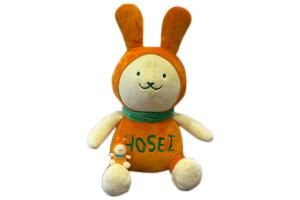 ぴょんこ 今日のミコぴょん号🐰 今日は民生・児童委員のみなさんにご試乗