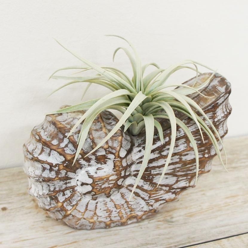 バリ島木彫りとフェイクグリーンのオブジェ /W20cm/WH-001M - アジアン