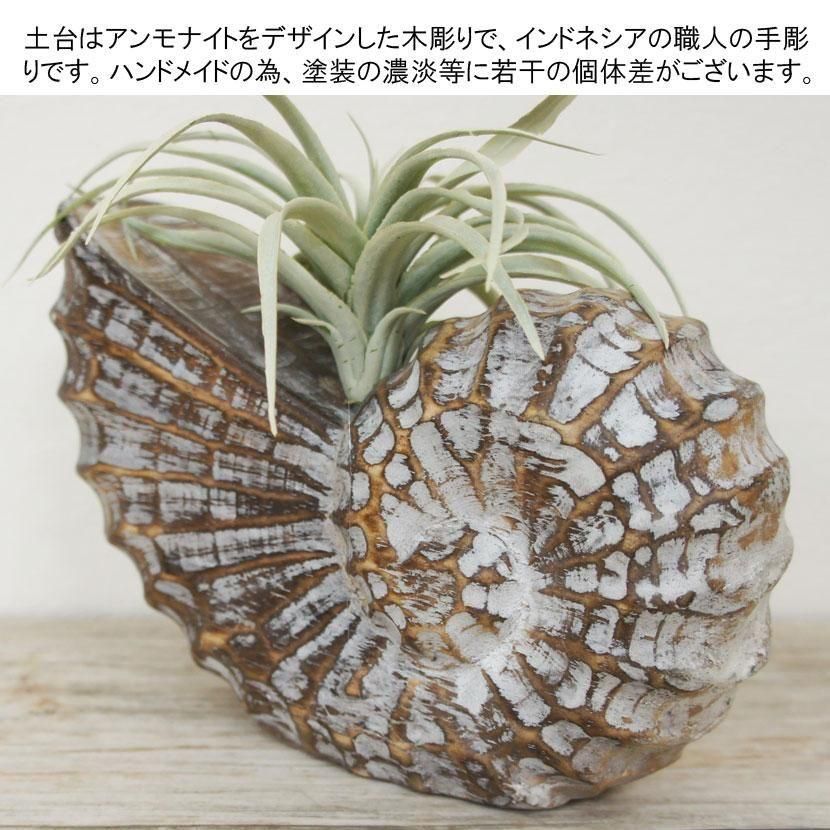 バリ島木彫りとフェイクグリーンのオブジェ /W20cm/WH-001M