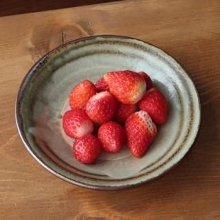 穂生窯・５寸皿・指回し