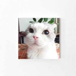 ǥڥ2L
