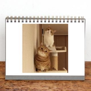 󥰥ˡ2L