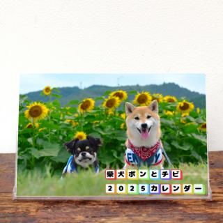奫ˡKG