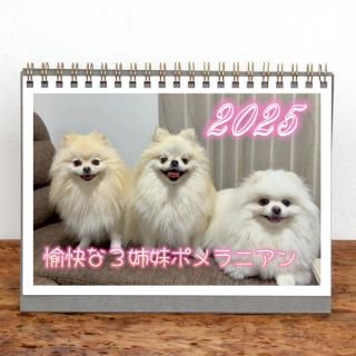 󥰥ˡ2L