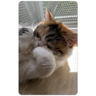 ȥ쥫ڥȥ쥫