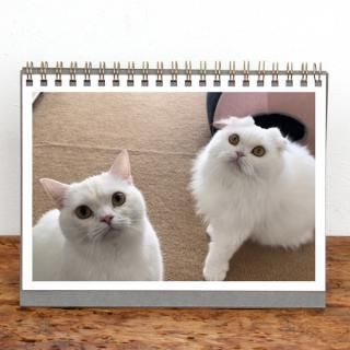 󥰥ˡ2L
