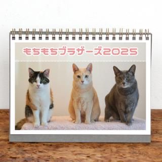 󥰥ˡ2L