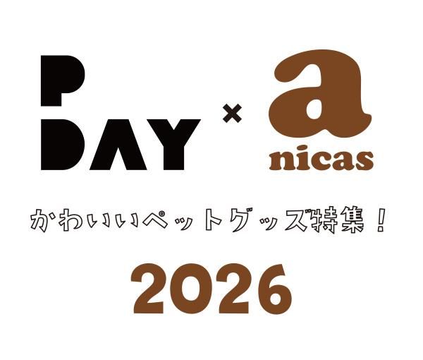 PDAY  anicas 襤ڥåȥåý2026