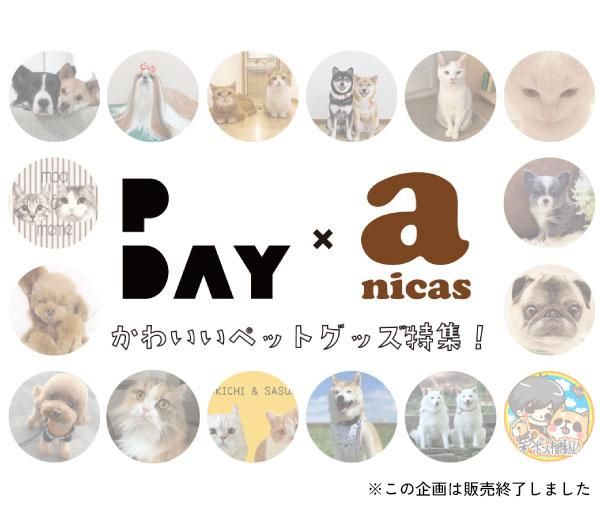 PDAYanicas