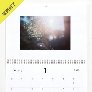 星野裕介 | 壁掛けカレンダー（2022年1月はじまり）【A3】