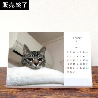 Moto猫ちゃんねる | 卓上カレンダー【ジロー】（2023年1月はじまり／表紙なし）【KG】