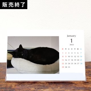 Moto猫ちゃんねる | 卓上カレンダー【ゴロー】（2023年1月はじまり／表紙なし）【KG】