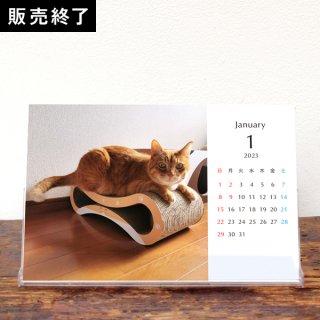 Moto猫ちゃんねる | 卓上カレンダー【タロ】（2023年1月はじまり／表紙なし）【KG】