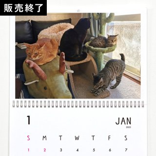 Moto猫ちゃんねる | 壁掛けカレンダー【4猫カレンダー】（2023年1月はじまり）【A3】