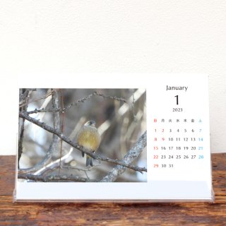 Takako K | 卓上カレンダー（2023年1月はじまり／表紙なし）【KG】