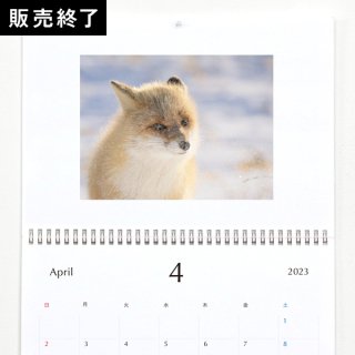 大井　一輝 | 壁掛けカレンダー（2023年4月はじまり）【A3】