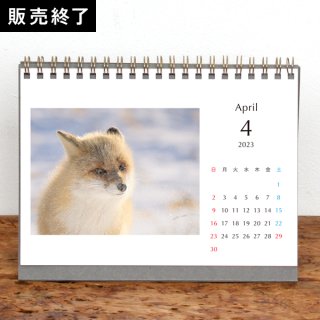 大井　一輝 | 卓上リングカレンダー（2023年4月はじまり／表紙なし）【2L】
