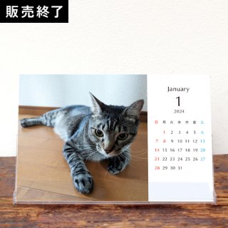 Moto | 卓上カレンダー【シ&#12441;ロー】（2024年1月はじまり／表紙なし）【KG】