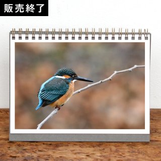 NORI | 卓上リングカレンダー【野鳥】（2024年1月はじまり／表紙あり）【2L】