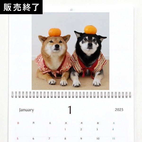【1月25日までの出品】柴犬 ロイカナ 正規品】ロイヤルカナン 柴犬 仔犬用 ドライフード｜Yahoo