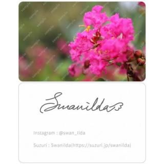Swanilda | ξ̥ȥ쥫 ʥ륹٥ˡξ̥ȥ쥫