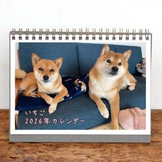 ΤϤ | 󥰥ڤۡ2026ǯ1Ϥޤ꡿ɽ椢ˡ2L