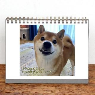 ΤϤ | 󥰥ڼƸϥۡ2026ǯ1Ϥޤ꡿ɽ椢ˡ2L