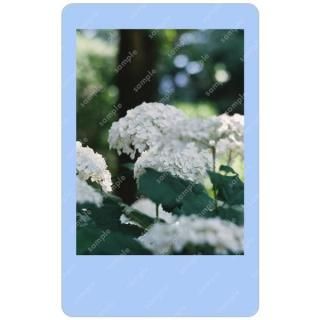 konatsu | Ʃȥ쥫 ʥʥ٥ˡƩȥ쥫