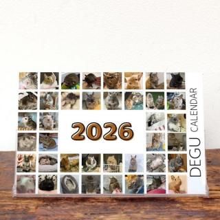  | 奫Aѥۡ2026ǯ1Ϥޤ꡿ɽ椢ˡKG