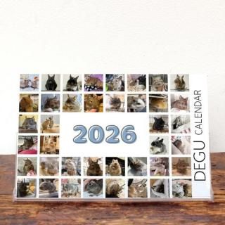  | 奫Bѥۡ2026ǯ1Ϥޤ꡿ɽ椢ˡKG